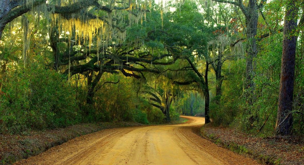 Home Thomasville National Bank